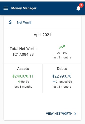Money Manager - net worth - screenshot example