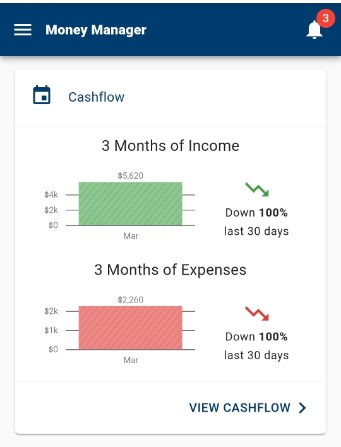Money Manager - Screenshot example - cashflow