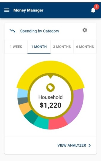 Money Manager - Screenshot example - spending category