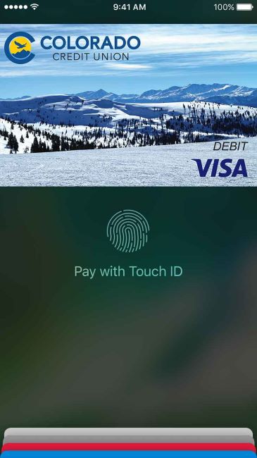 iPhone Touch ID screen Apple Pay